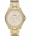 Ceas Fossil Cecile AM4482